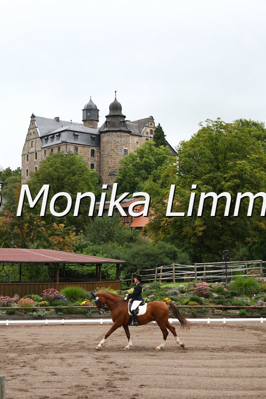 009M7373_Balu_Dressur M.JPG